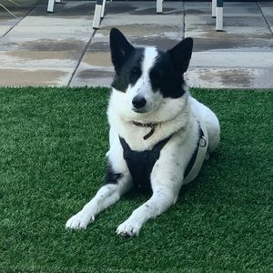 Meet your Posher, Colette